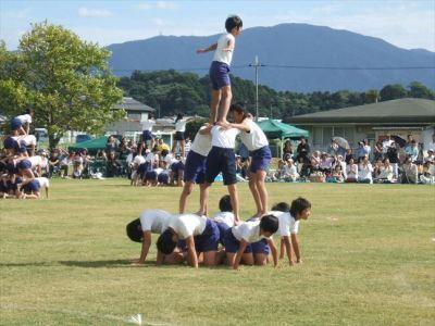 芝生上での運動会の様子