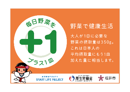 毎日野菜(橙)