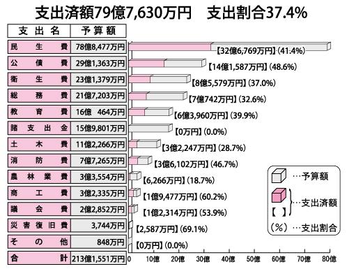 支出済額