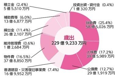 28決算歳出グラフ