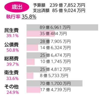歳出概要
