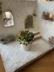 樹脂粘土で作る多肉植物の作品