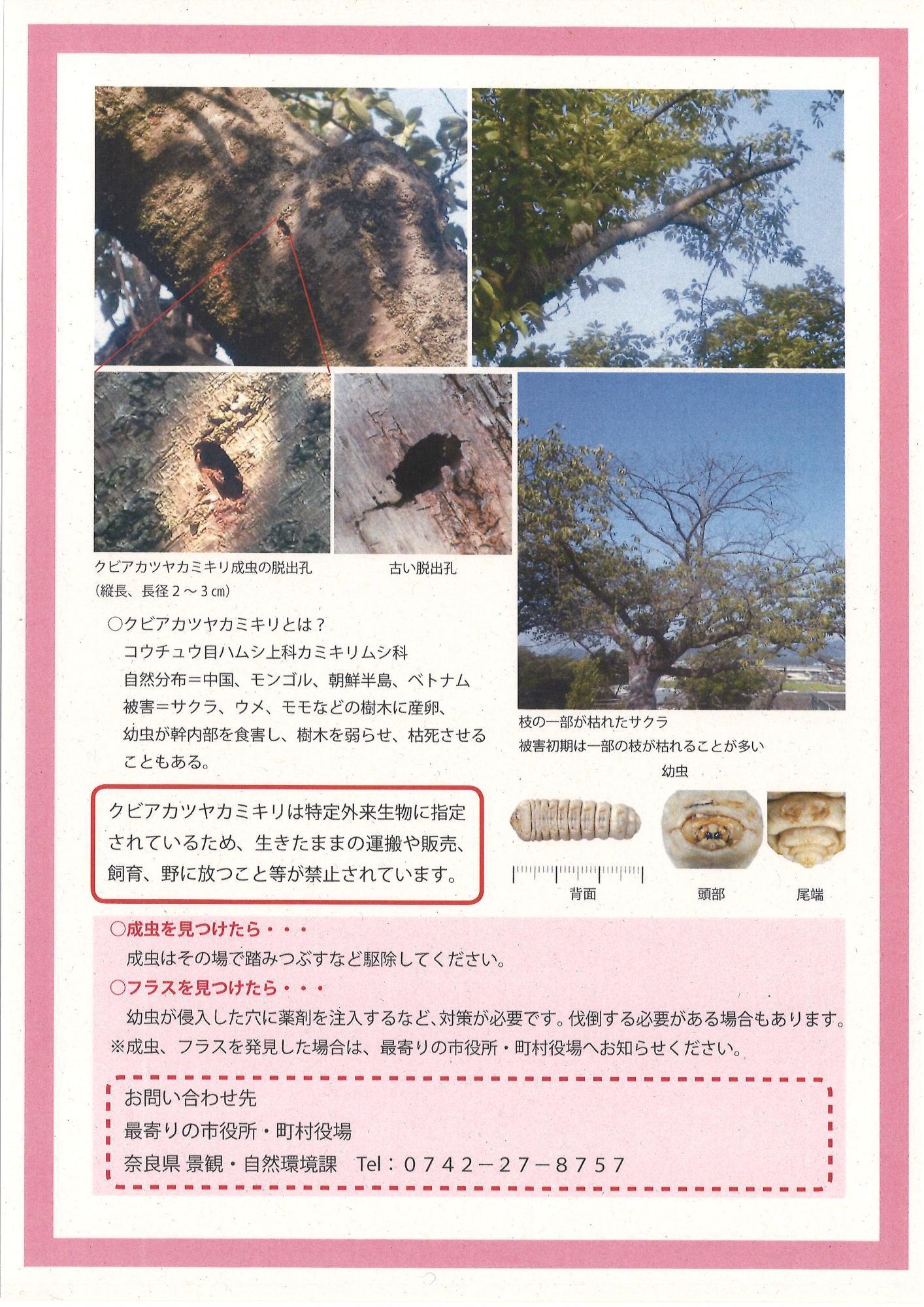 奈良県チラシ2