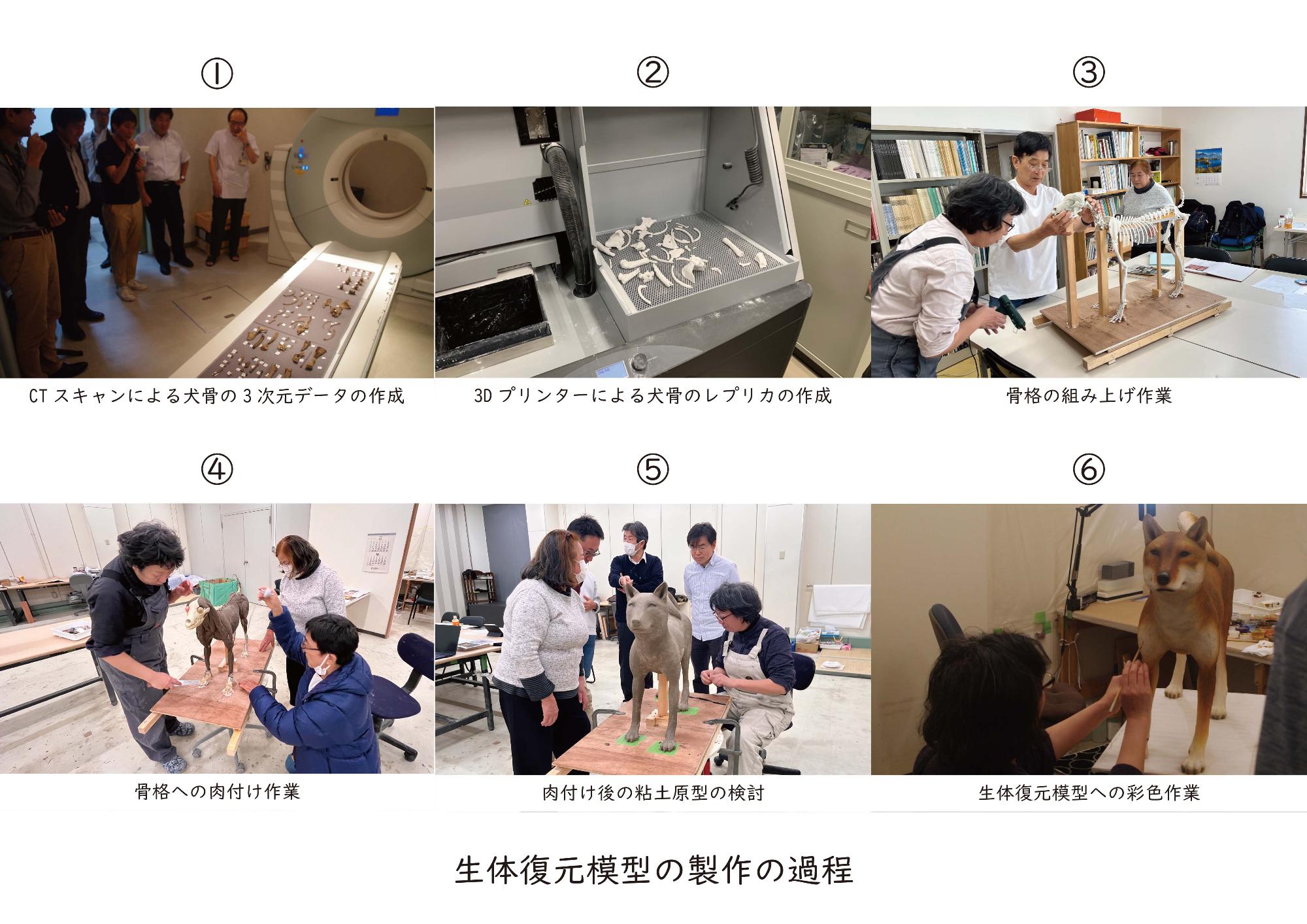 生体復元模型の製作の過程
