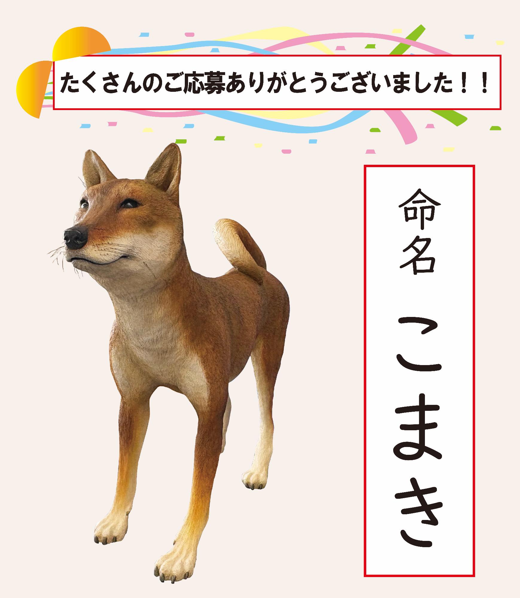 纒向犬の愛称がこまきに決定しました