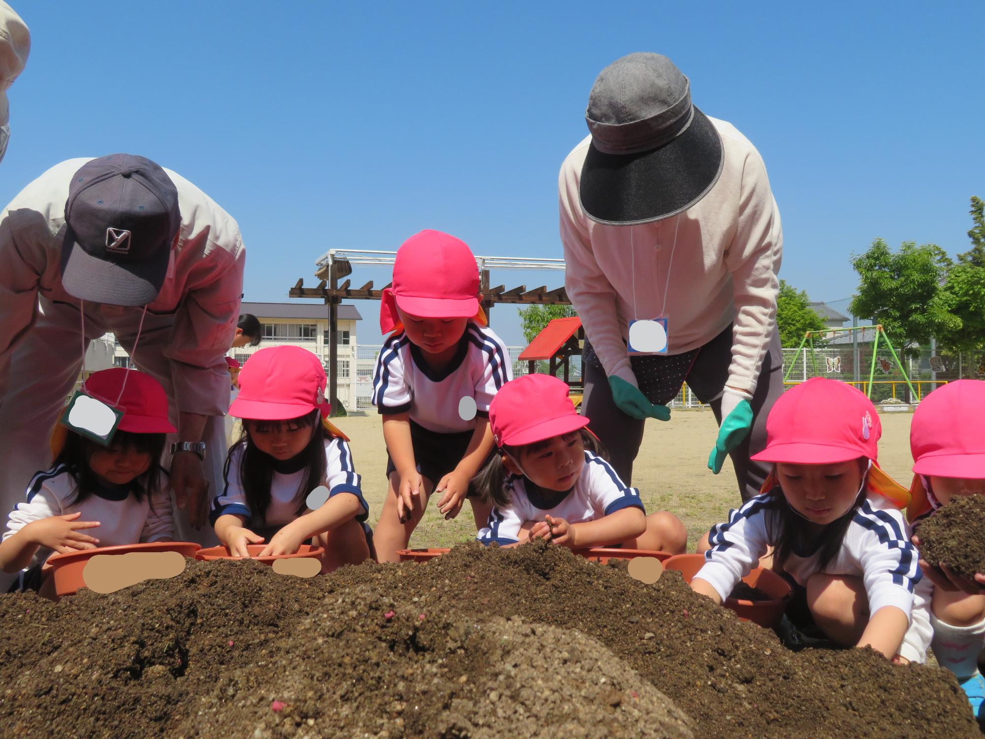 3歳児が老人会の方と一緒に花の種を一緒に植えているところ。