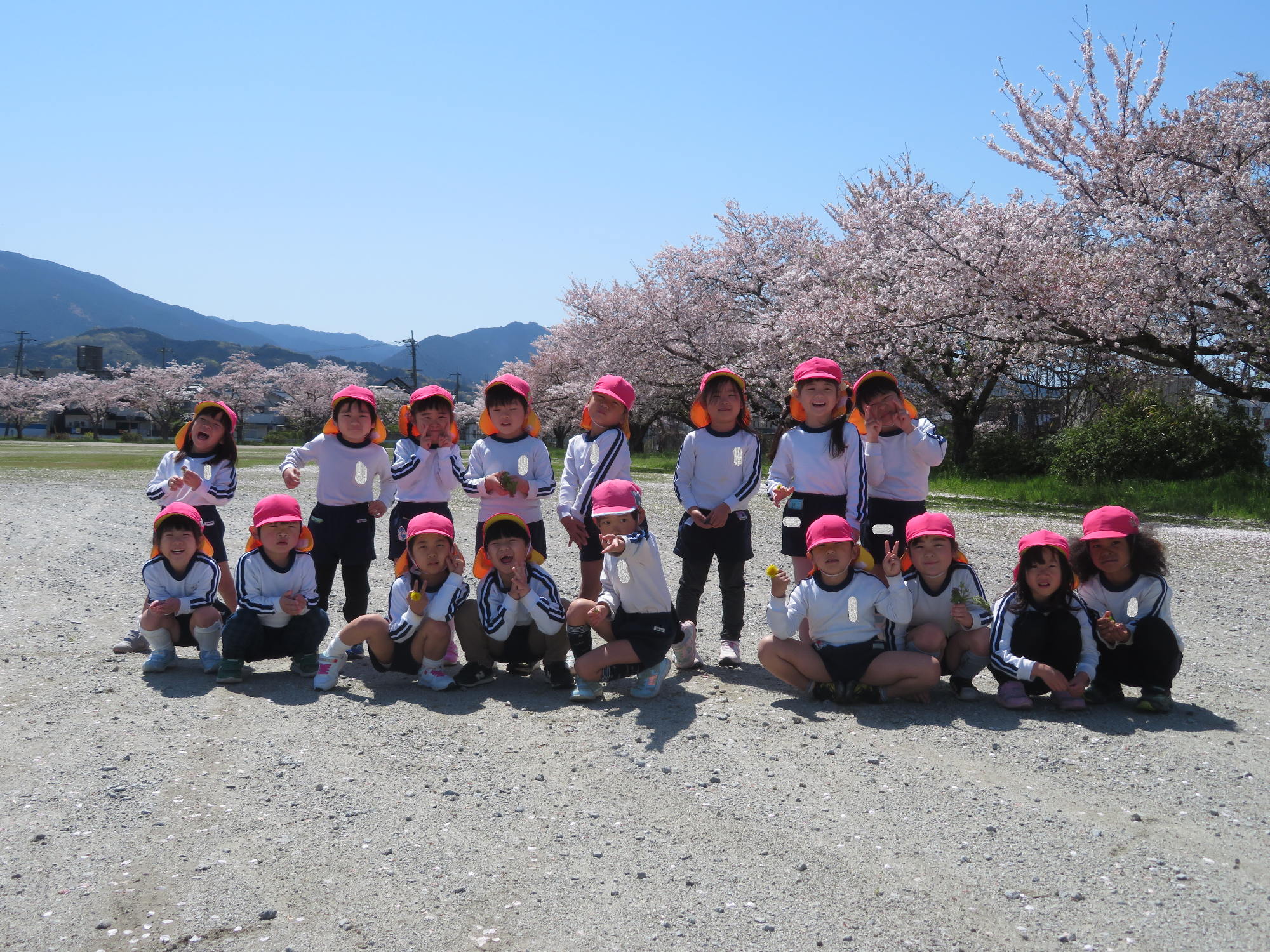 桜と一緒に年長児が集合写真を撮っている。