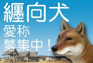 纒向犬