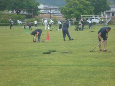 補植作業