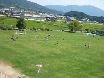 運動場一面に芝生が覆われた様子