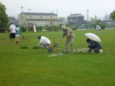 H24年度夏芝の補植作業の様子