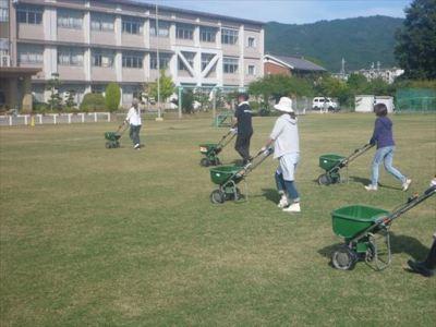 H24年度冬芝の種まき作業の様子