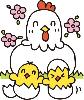 ひよここっこ