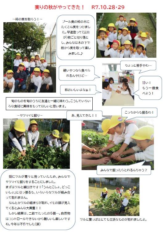 実りの秋