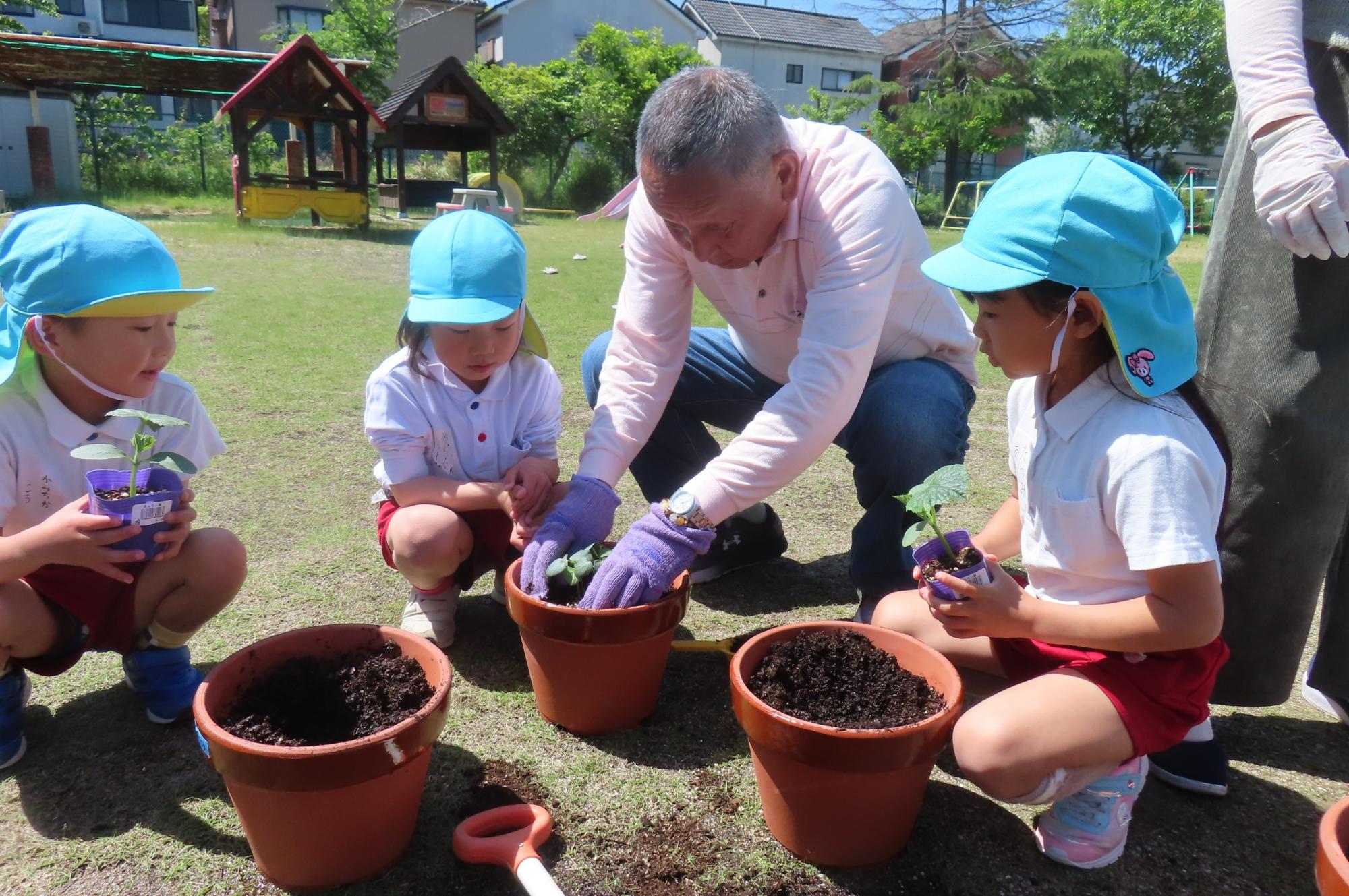 老人会のおじいちゃんに野菜の植え方を教えてもらったよ！