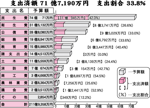 支出済額