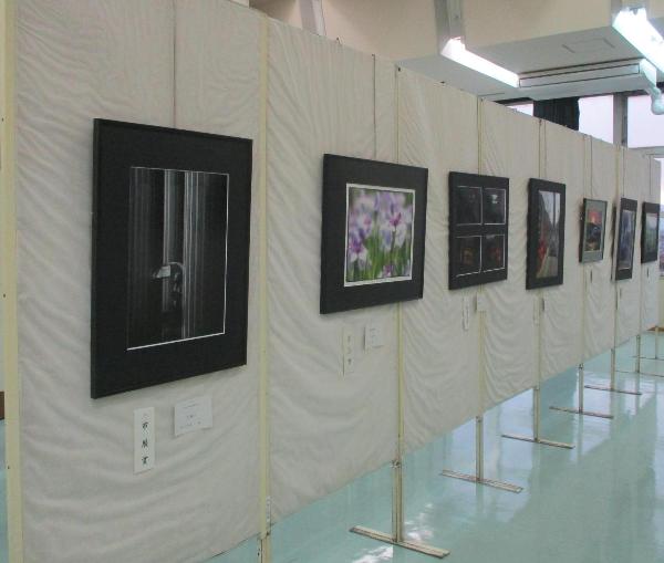 写真の展示