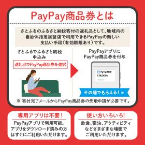 PayPay商品券とは