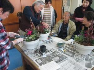 寄せ植え教室の写真