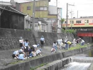 大和川清掃の模様