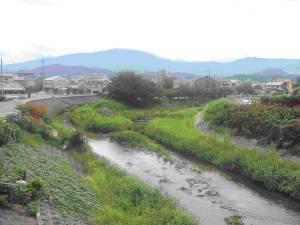 大和川の風景