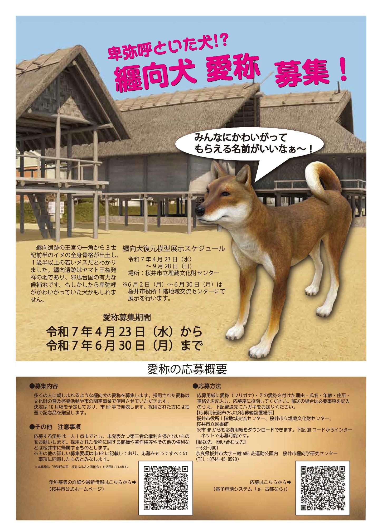 纒向犬愛称募集チラシ