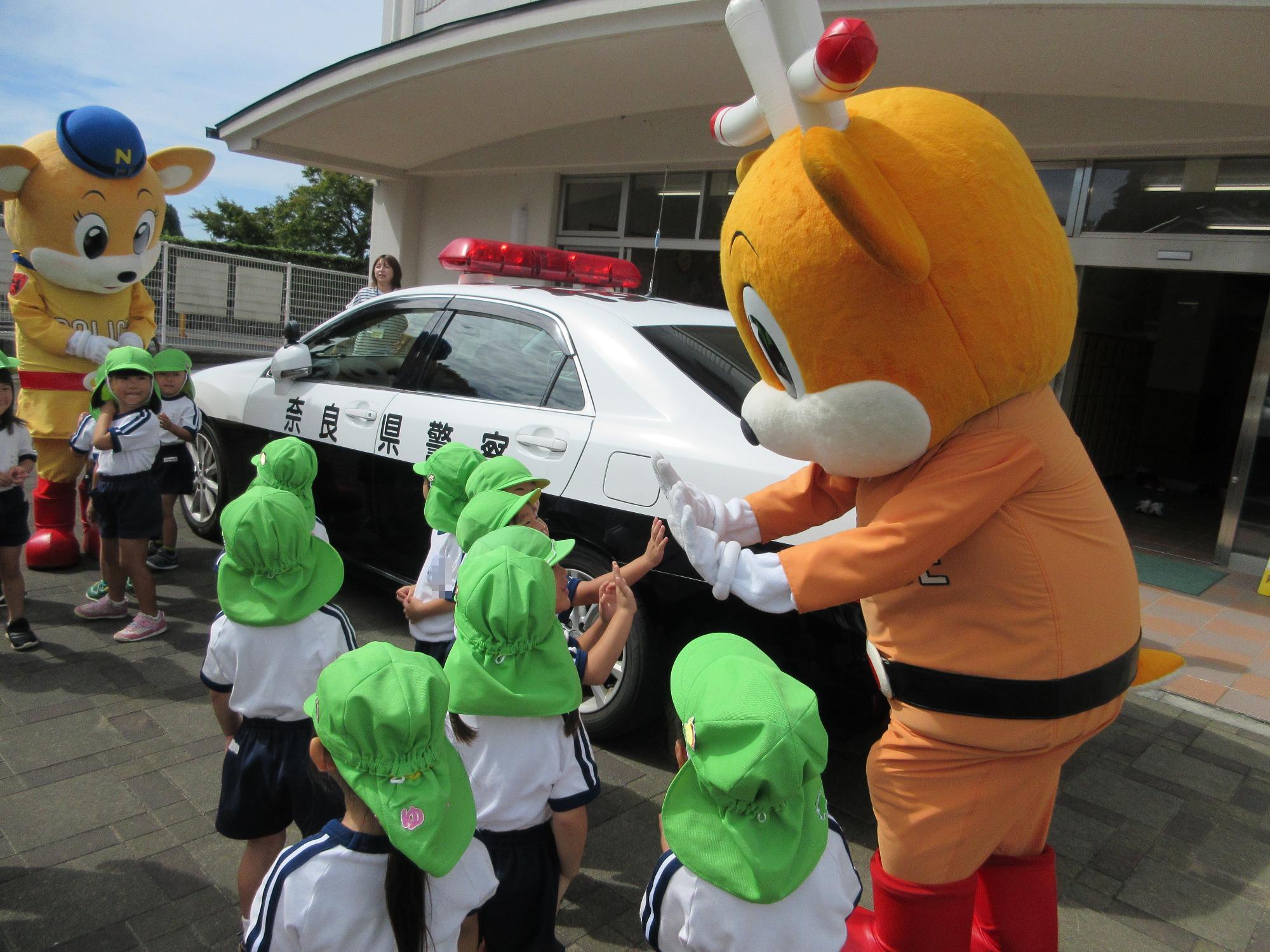 パトカーを見学している3歳児