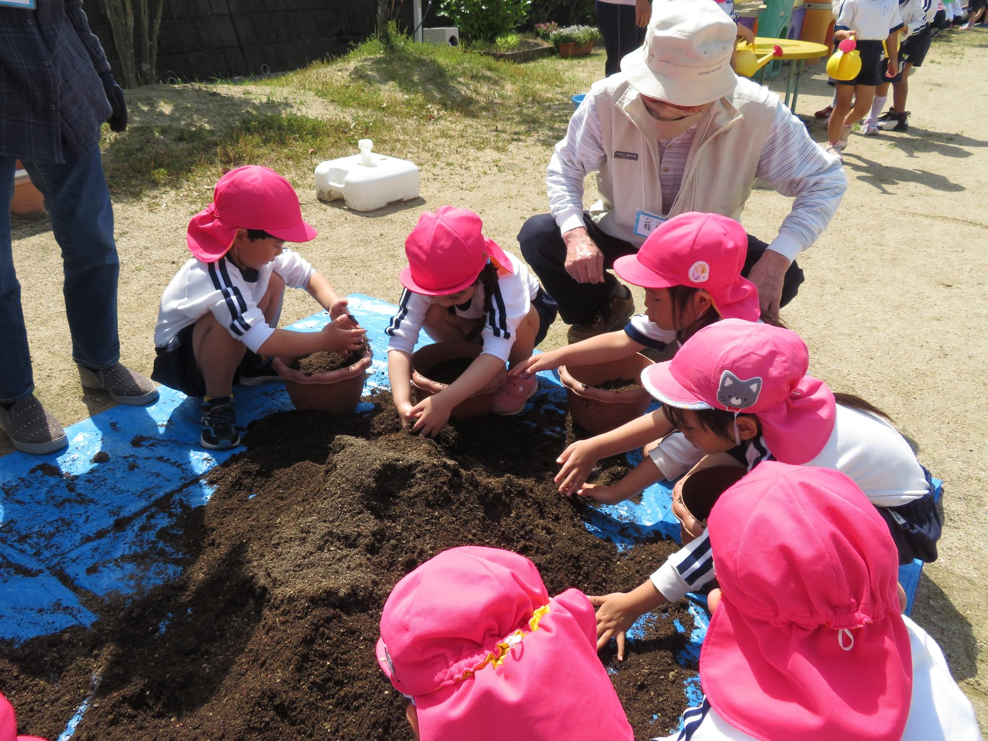 老人会の方々と花植えをしている4歳児