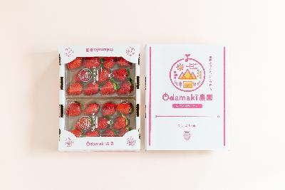 【認定品】 OdaMaki農園の特別栽培いちご