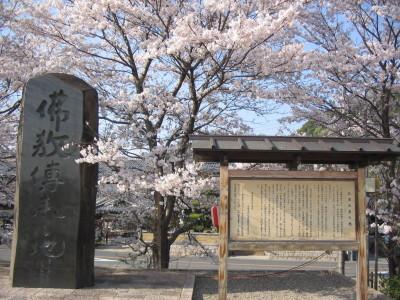 春の桜が咲いている時期の仏教伝来の地碑