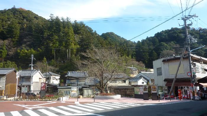 桜馬場整備後の施設全景写真