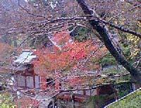 談山神社（たんざんじんじゃ）の画像