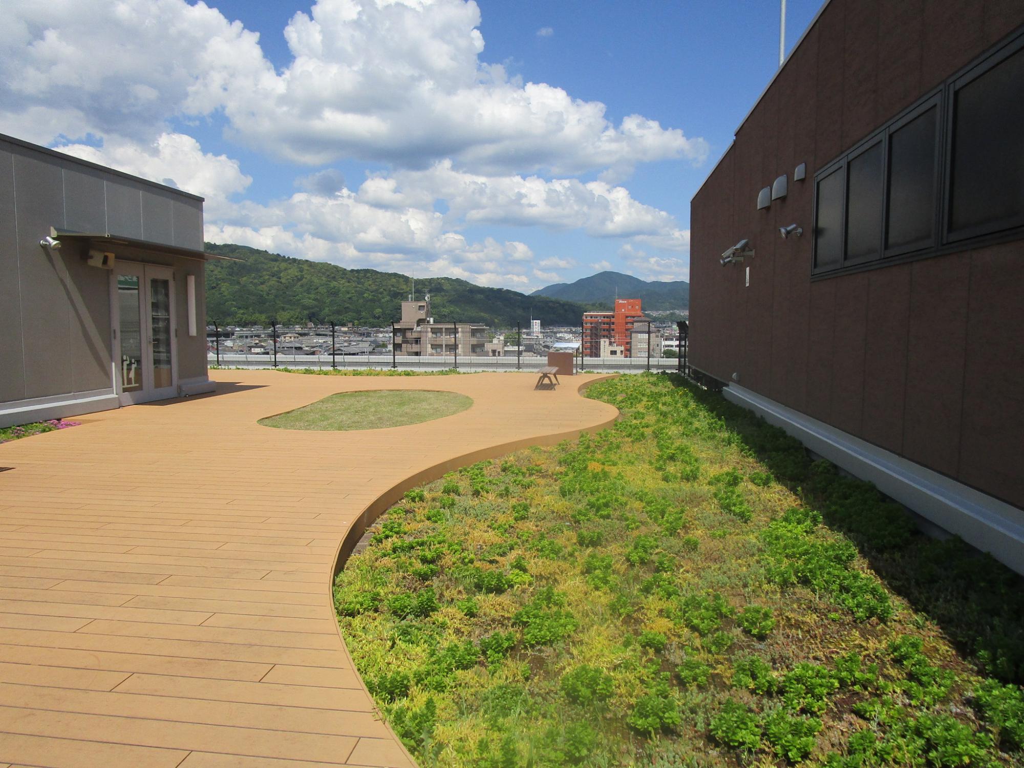 桜井市屋上庭園
