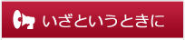 いざというときに